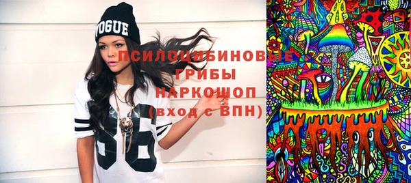 прущие грибы Баксан