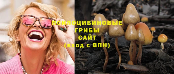 бошки Балахна