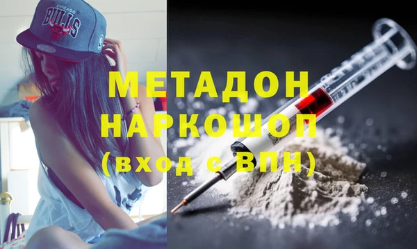 прущие грибы Баксан