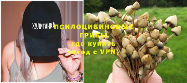 прущие грибы Баксан