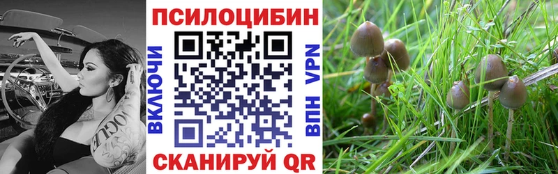 OMG Белокуриха darknet состав цена Псилоцибиновые грибы ЛСД